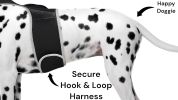 Water/Dust Resistant GPS Pet Tracker Dog Collar Mount Tracking Device Size:M