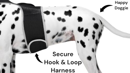 Water/Dust Resistant GPS Pet Tracker Dog Collar Mount Tracking Device Size:M