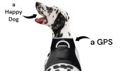 Locate Lost Pet Easily with Collar Mounted Waterproof GPS Pet Tracker Size:L