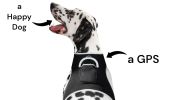Realtime Mini GPRS GSM Portable Pet GPS Tracker w/ Perimeter Tracking Size:M