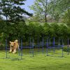 8 Piece Dog Agility Set with Adjustable Height Jump Bars, Carry Bag, Displacing Top Bar, Blue