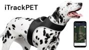 NEW GSM GPS Rechargeable Quick Track Collar Pet Location Finder System Size:L