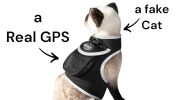 NEW GPS Animal Tracking Mini GPS Waterproof Pet Collar Mount Tracker Size:M