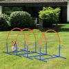 4 Piece Dog Agility Course for Senior Dogs with Carry Bag Outdoor Use Blue