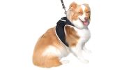 Realtime Pet Monitoring w/ Pet Tracker GPS Dog Collars Tracking Device NEW Size:M