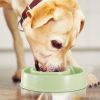 Dog Cat Slow Feeder Bowl Pet Interactive Maze Feeder Bowl Anti-Bloat Feeding Plate