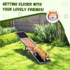 Dog Agility Ramp , Pet Seesaw
