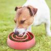 Dog Cat Slow Feeder Bowl Pet Interactive Maze Feeder Bowl Anti-Bloat Feeding Plate